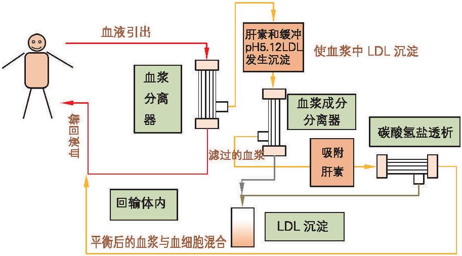 第1節(jié) 血漿置換治療